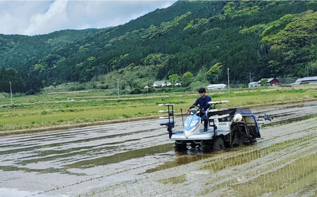 【とまと農家がつくるお米】にこまる 5kg 五島市富江産 ニコマル  野口とまと/五島市 [PCJ008]