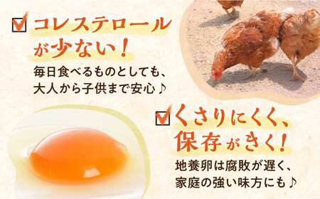3回定期便 最高級 卵 Mサイズ 40個＜垣山養鶏園＞ [CBB018] 卵