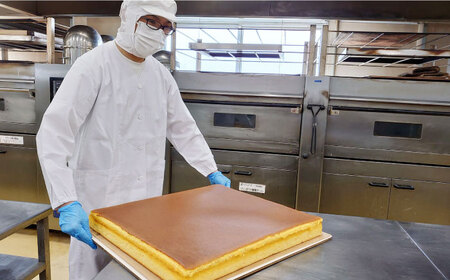 カステラ 高島屋選定品 | 松翁軒 カステラ 1.0号×6本[CFQ051] カステラ