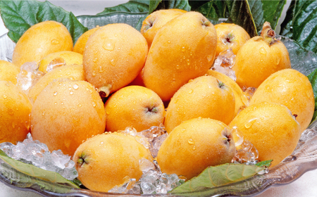 ビワ 【高島屋選定品】【先行予約】九州屋 茂木 びわ 400g（ Lサイズ 12粒入）＜高島屋＞ [CFQ060]