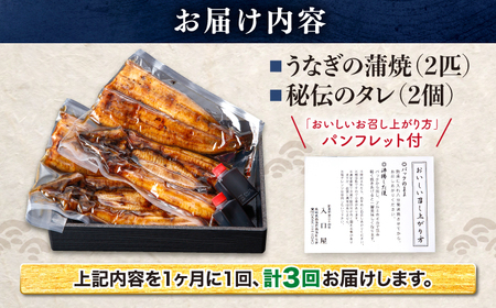 3回定期便 国産 うなぎ 2尾 CCA020 海鮮 鰻 うなぎ 贈答 ギフト ウナギ