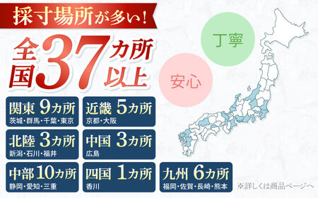 【オーダースーツ】 仕立券|ビジネススーツ メンズ [CAN021]  スーツ