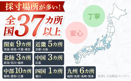 【オーダースーツ】 仕立券|ビジネススーツ メンズ [CAN024] メンズスーツ 西海市