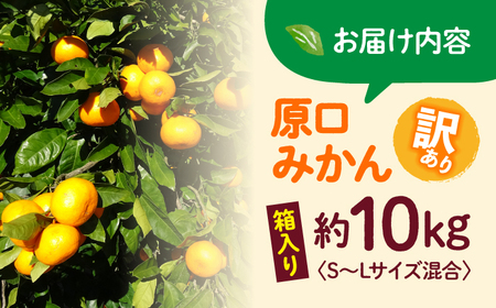 訳あり 原口みかん 10kg みかん CFW004