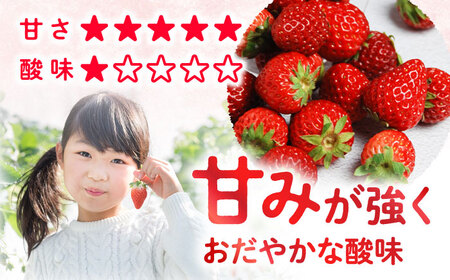 先行予約 かおりの いちご 1kg CFV001 長崎県 西海市 イチゴ いちご 苺