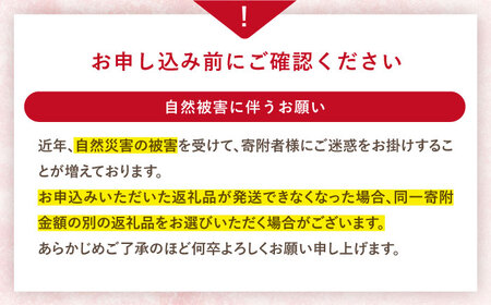 先行予約 かおりの いちご 1kg CFV001 長崎県 西海市 イチゴ いちご 苺