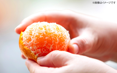 みかん【訳あり】 原口みかん 約5kg  [CCX009] 