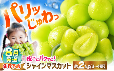  シャインマスカット 【2026年8月発送】約2kgvCGN003| シャインマスカット