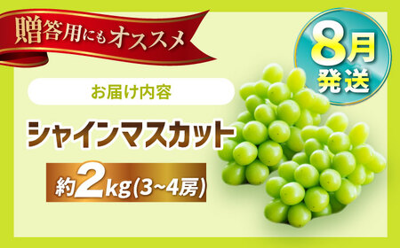  シャインマスカット 【2026年8月発送】約2kgvCGN003| シャインマスカット