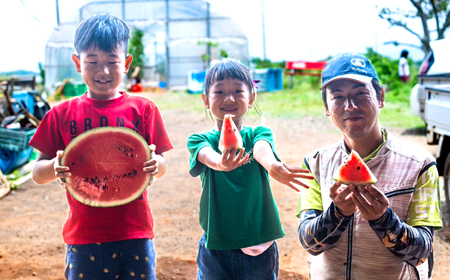 スイカ 羅皇ザ・スウィート 1玉 スイカ 【2026年6月下旬から順次発送】 [CGM005]  