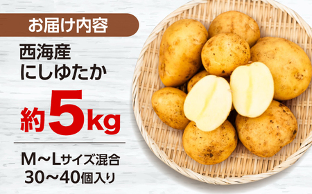じゃがいも にしゆたか 5kg CGM001 じゃがいも