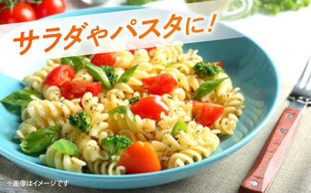 【11月上旬より順次発送】 ミニトマト 1kg  [CGP001] 野菜 新鮮 赤 ミニトマト 小分け とまと