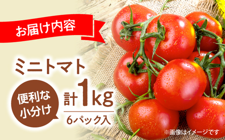 【11月上旬より順次発送】 ミニトマト 1kg  [CGP001] 野菜 新鮮 赤 ミニトマト 小分け とまと