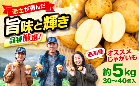 じゃがいも 5kg CGM003 じゃがいも 芋 イモ 野菜 いも ジャガイモ 西海 長崎県産