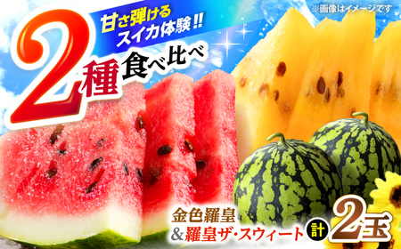 先行予約：2026年7月上旬より配送】スイカ 2種 金色羅皇＆羅皇ザ