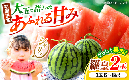 すいか 【2026年6月中旬より配送】 羅皇2玉  ＜武藤農園＞CFV007 すいか 