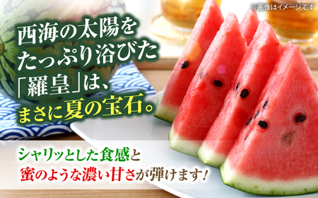 すいか 【2026年6月中旬より配送】 羅皇2玉  ＜武藤農園＞CFV007 すいか 