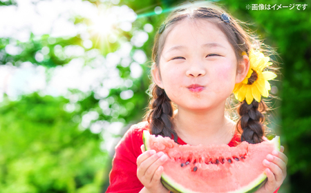 すいか 【2026年6月中旬より配送】 羅皇2玉  ＜武藤農園＞CFV007 すいか 