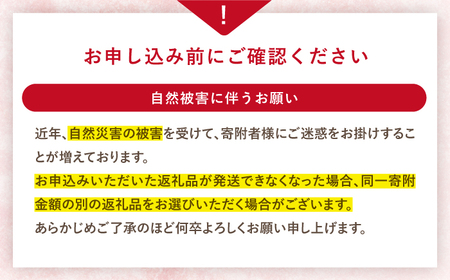 すいか 【2026年6月中旬より配送】 羅皇2玉  ＜武藤農園＞CFV007 すいか 