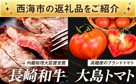 【あとから選べる！】西海市 ふるさとギフト 20万円分 [CZY004] あとからセレクト カタログギフト