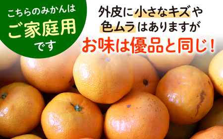 ご家庭用みかん| 長崎 味ロマン みかん 約5kg [CGU001]