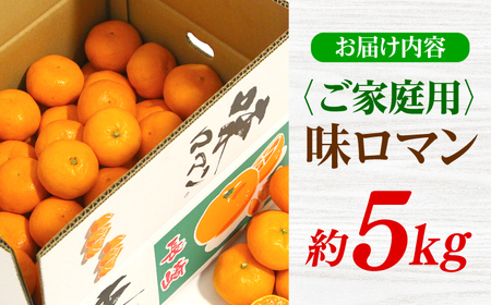 ご家庭用みかん| 長崎 味ロマン みかん 約5kg [CGU001]