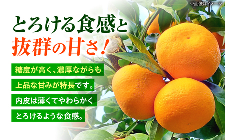 【12月中旬より配送開始】 石地みかん 約5kg （S,Mサイズ混合）＜濱崎ファーム＞ [CGT003] みかん