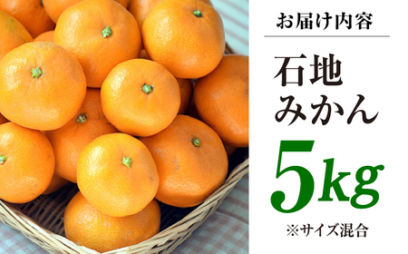 【12月中旬より配送開始】 石地みかん 約5kg （S,Mサイズ混合）＜濱崎ファーム＞ [CGT003] みかん