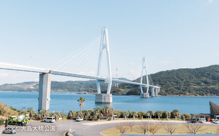 【返礼品なし】 長崎県 西海市 ふるさと応援寄附金（100万円分）【長崎県西海市】[CZZ032]