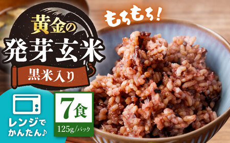 先行予約 パックご飯 玄米 125g×7食 [CGV0001] 米