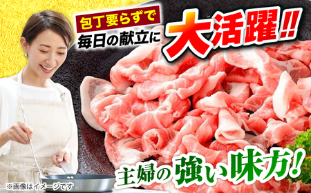 3回定期便 豚肉 こま切れ 1.5kg 訳あり CAG016 豚肉 こま切れ 小分け こま切れ 豚肉 こま切れ