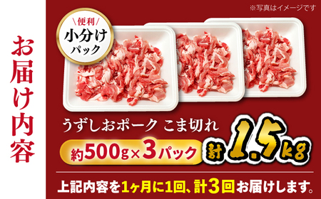 3回定期便 豚肉 こま切れ 1.5kg 訳あり CAG016 豚肉 こま切れ 小分け こま切れ 豚肉 こま切れ