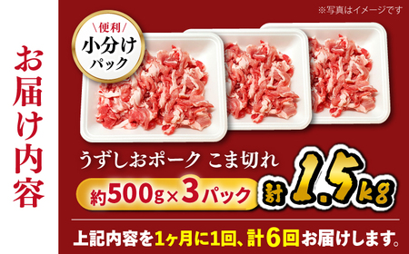 6回定期便 国産豚 こま切れ 1.5kg SPF豚 訳あり CAG017 豚肉 こま切れ