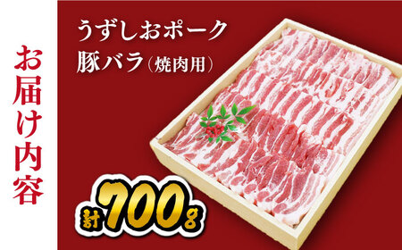 焼肉用 焼肉 豚バラ 700g 訳あり CAG019 豚バラ肉