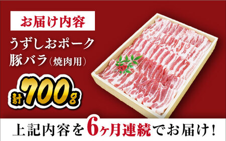 【6回 定期便 】 焼肉 長崎うずしおポーク 豚バラ 700g 訳あり＜スーパーウエスト＞[CAG021] 焼肉