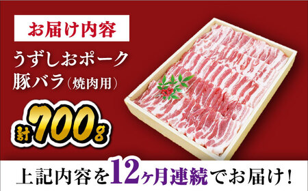 12回定期便 国産豚 バラ焼肉 700g 訳あり CAG022 焼肉