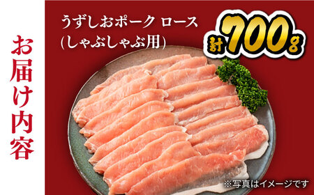 豚 シャブシャブ 700g 訳あり CAG027 豚しゃぶ