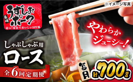 6回定期便 国産豚 しゃぶしゃぶ用 700g 訳あり CAG029 豚肉 しゃぶしゃぶ用 豚肉