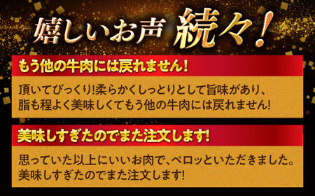 12回定期便 長崎和牛 すき焼き 2種 計800g 訳あり CAG183 すき焼き