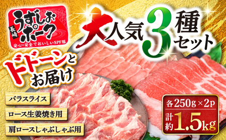 豚肉 大人気3種セット計1.5kg スライス 生姜焼き CAG218 スライス 生姜焼き