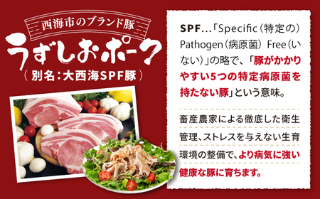 豚肉 大人気3種セット計1.5kg スライス 生姜焼き CAG218 スライス 生姜焼き