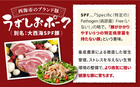 6回定期便 SPF豚 豚肉 バラスライス 1kg SPF豚 訳あり CAG260 豚肉 