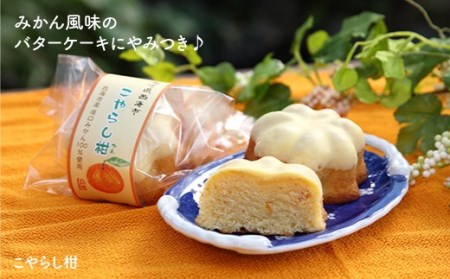 【日時指定可】うず潮ロールケーキ1本&こやらし柑10個 CAM002 ケーキ