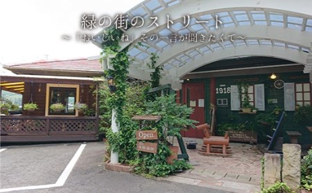 【日時指定可】うず潮ロールケーキ1本&こやらし柑10個 CAM002 ケーキ