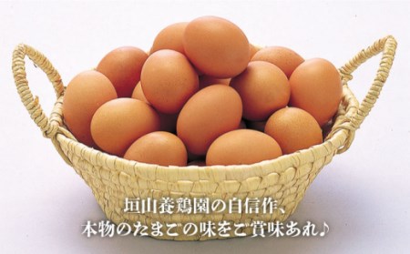 最高級 卵 地養卵 Mサイズ 90個 ＜垣山養鶏園＞ [CBB005] 長崎県産