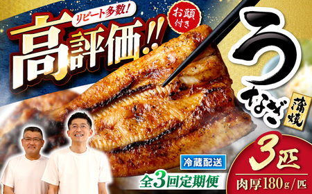 3回定期便 うなぎ 3尾 CCA008 海鮮 鰻 うなぎ 贈答 ギフト ウナギ