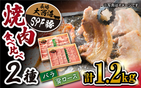 国産豚 SPF豚 ロース/バラ 焼肉 2種 計1.2kg CCY007 焼肉 国産豚 贈答