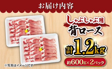 国産豚 シャブシャブ用 計1.2kg 訳あり CEK037 背ロース