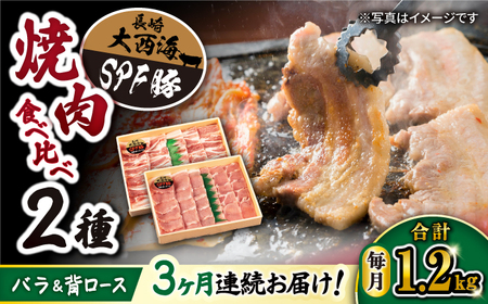 【3回 定期便 】 焼肉 豚 大西海 SPF豚 背ロース ＆ バラ （ 焼肉 用）計1.2kg（各600g）焼肉 焼肉 肉 食品 肉類 国産 豚肉 食べ比べ こだわり セット 甘み 旨み 豚バラ バラ肉 豚ロース 贈答 ギフト SPF豚  訳あり ＜大西海ファーム＞ [CEK044]