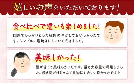 【3回 定期便 】 焼肉 豚 大西海 SPF豚 背ロース ＆ バラ （ 焼肉 用）計1.2kg（各600g）焼肉 焼肉 肉 食品 肉類 国産 豚肉 食べ比べ こだわり セット 甘み 旨み 豚バラ バラ肉 豚ロース 贈答 ギフト SPF豚  訳あり ＜大西海ファーム＞ [CEK044]